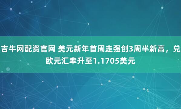吉牛网配资官网 美元新年首周走强创3周半新高，兑欧元汇率升至1.1705美元