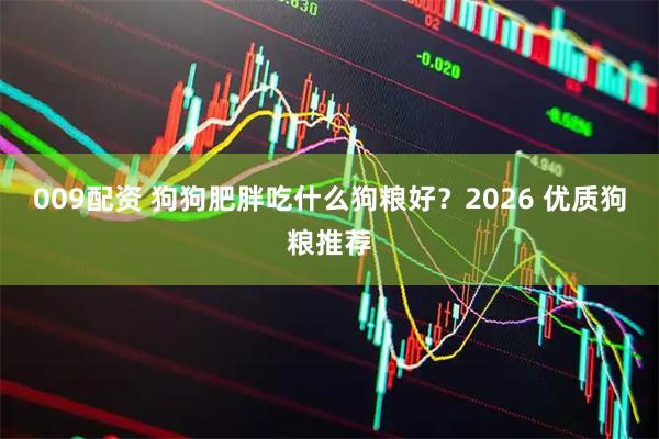 009配资 狗狗肥胖吃什么狗粮好？2026 优质狗粮推荐