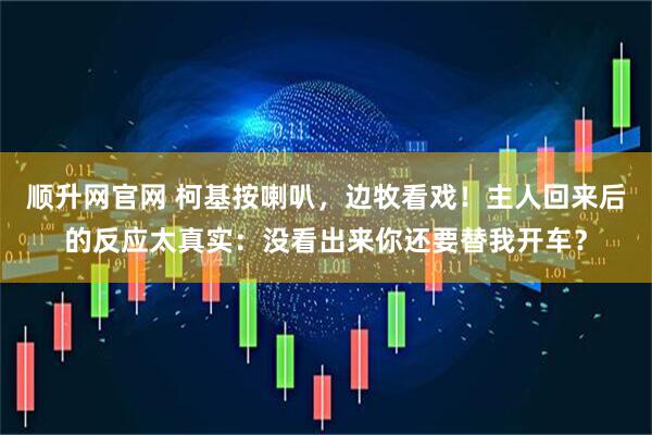 顺升网官网 柯基按喇叭，边牧看戏！主人回来后的反应太真实：没看出来你还要替我开车？